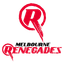 Melbourne Renegades Academy Flag