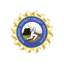 DCA Kazaragode Flag